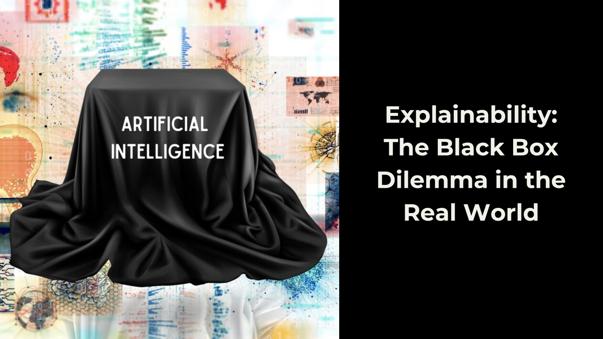 Explainability: The Black Box Dilemma in the Real World