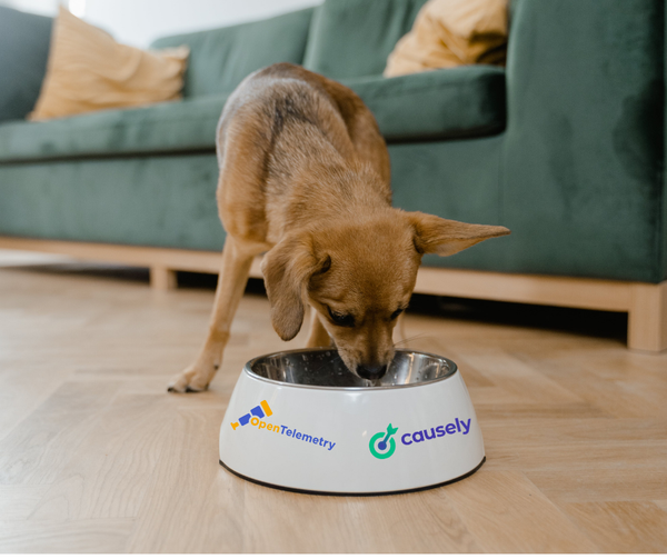 A dog eats from a branded bowl on a wooden floor, with a green couch in the background.